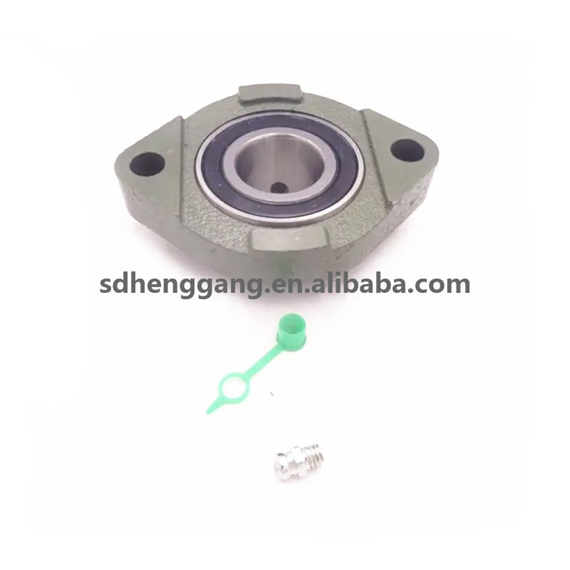 China Factory Price SBFD Series Pillow Block Bearings SBFD205 Flange Bearing Units 2 Bolt Bearing Housing SBFD206 SBFD207 SBFD208