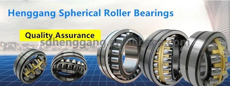HGJX bearing (3)