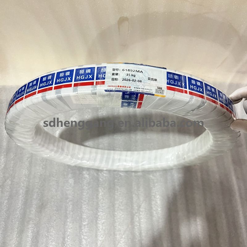 61892 MA Low Friction Deep Groove Ball Bearing 61892-M Brass Cage 460X580X56mm Factory Available