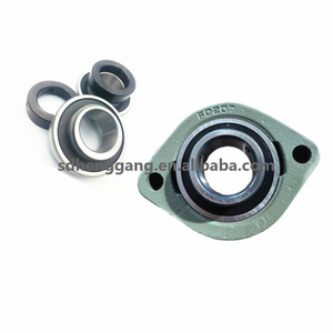 China Factory Price SBFD Series Pillow Block Bearings SBFD205 Flange Bearing Units 2 Bolt Bearing Housing SBFD206 SBFD207 SBFD208