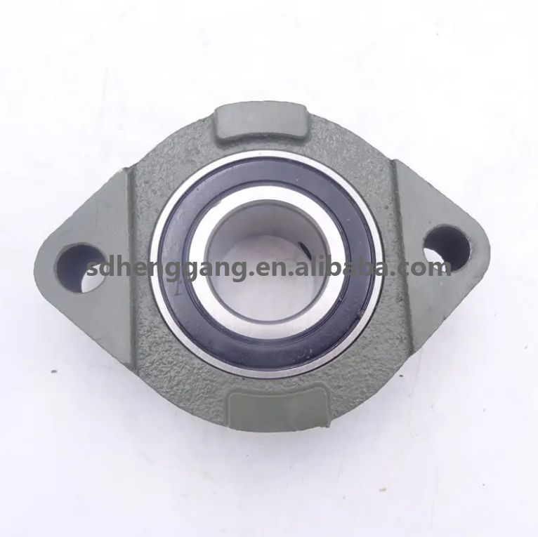 China Factory Price SBFD Series Pillow Block Bearings SBFD205 Flange Bearing Units 2 Bolt Bearing Housing SBFD206 SBFD207 SBFD208