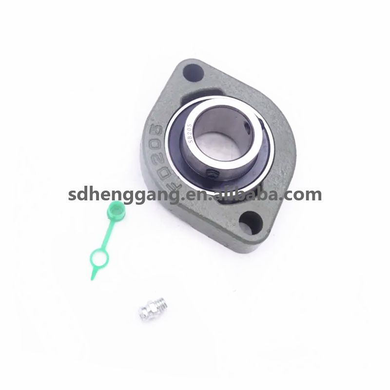 China Factory Price SBFD Series Pillow Block Bearings SBFD205 Flange Bearing Units 2 Bolt Bearing Housing SBFD206 SBFD207 SBFD208